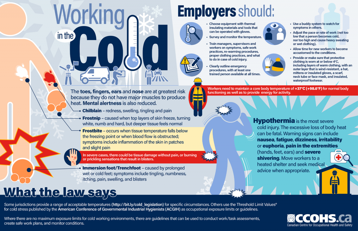 Should You Go to Work with a Cold