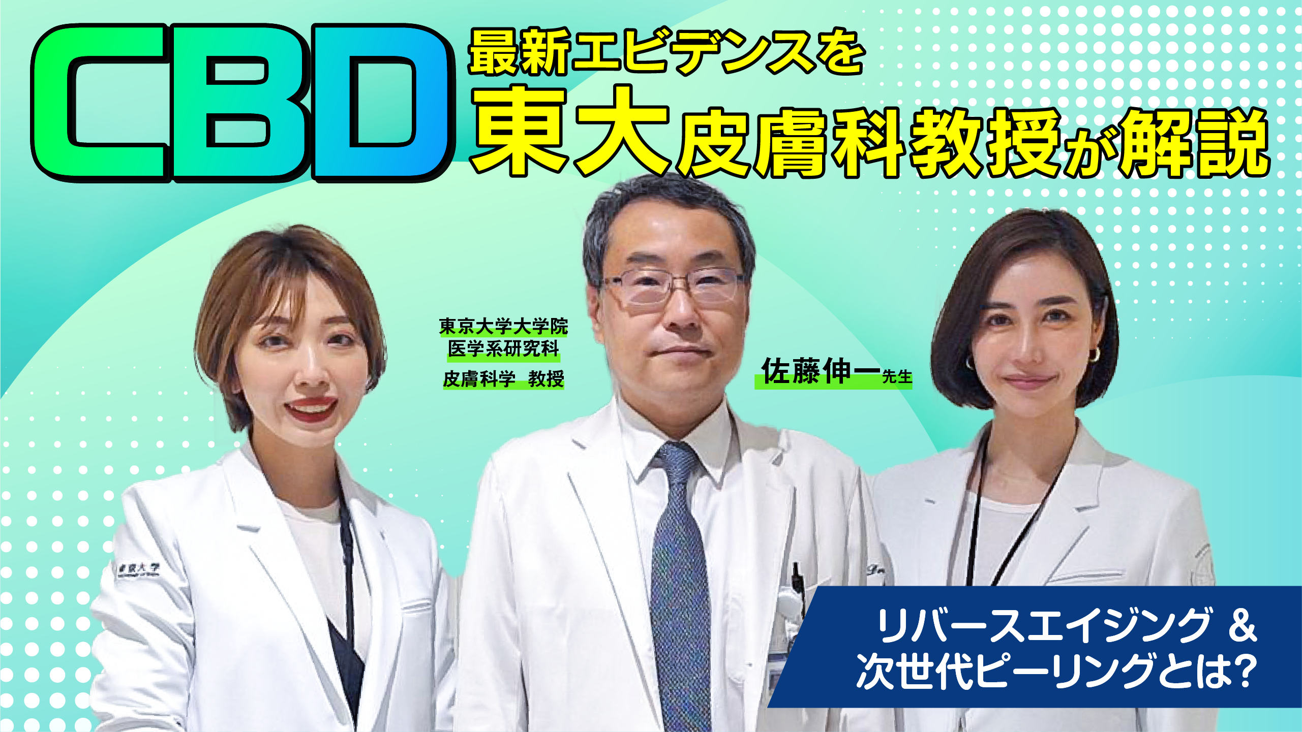 佐藤伸一医師の現在と評判｜強皮症の名医の東大退任後と診察予約法