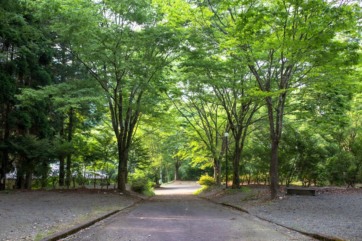 郡上八幡リバーウッドオートキャンプ場！予約・川遊び・口コミを徹底解剖