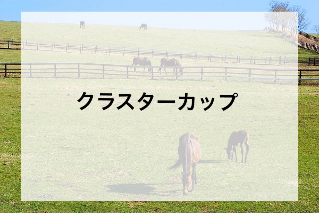 盛岡の夏を激震させた「真夏の電撃戦」——過去データと名勝負が明かすクラスターカップ攻略の真実