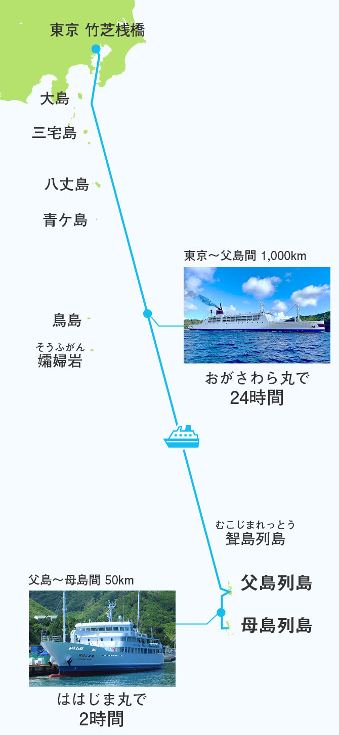 東京から船で24時間！小笠原諸島への行き方と予約争奪戦の極意