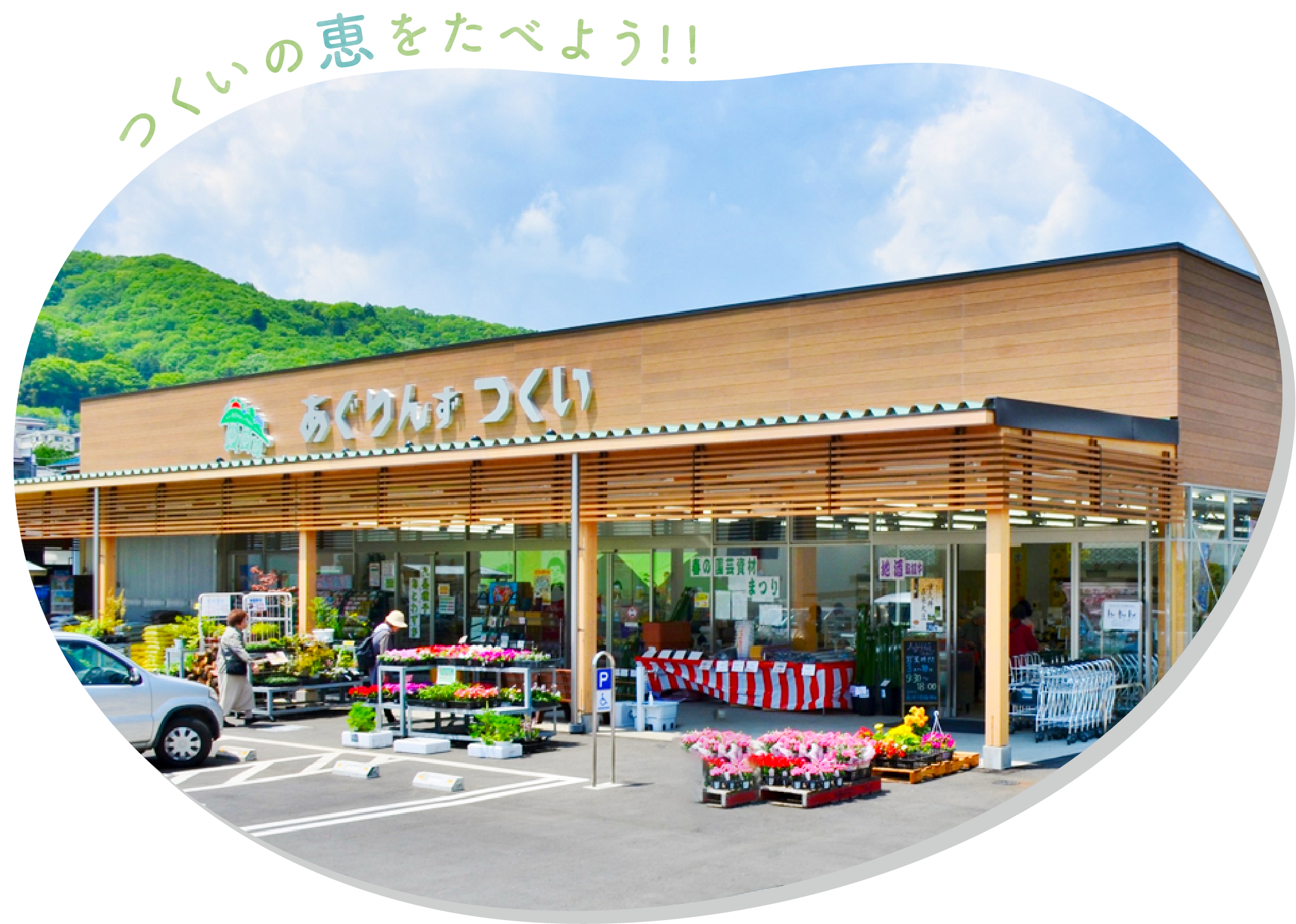 あぐりんず つくいの魅力を徹底解剖！津久井大豆と新鮮野菜の真実