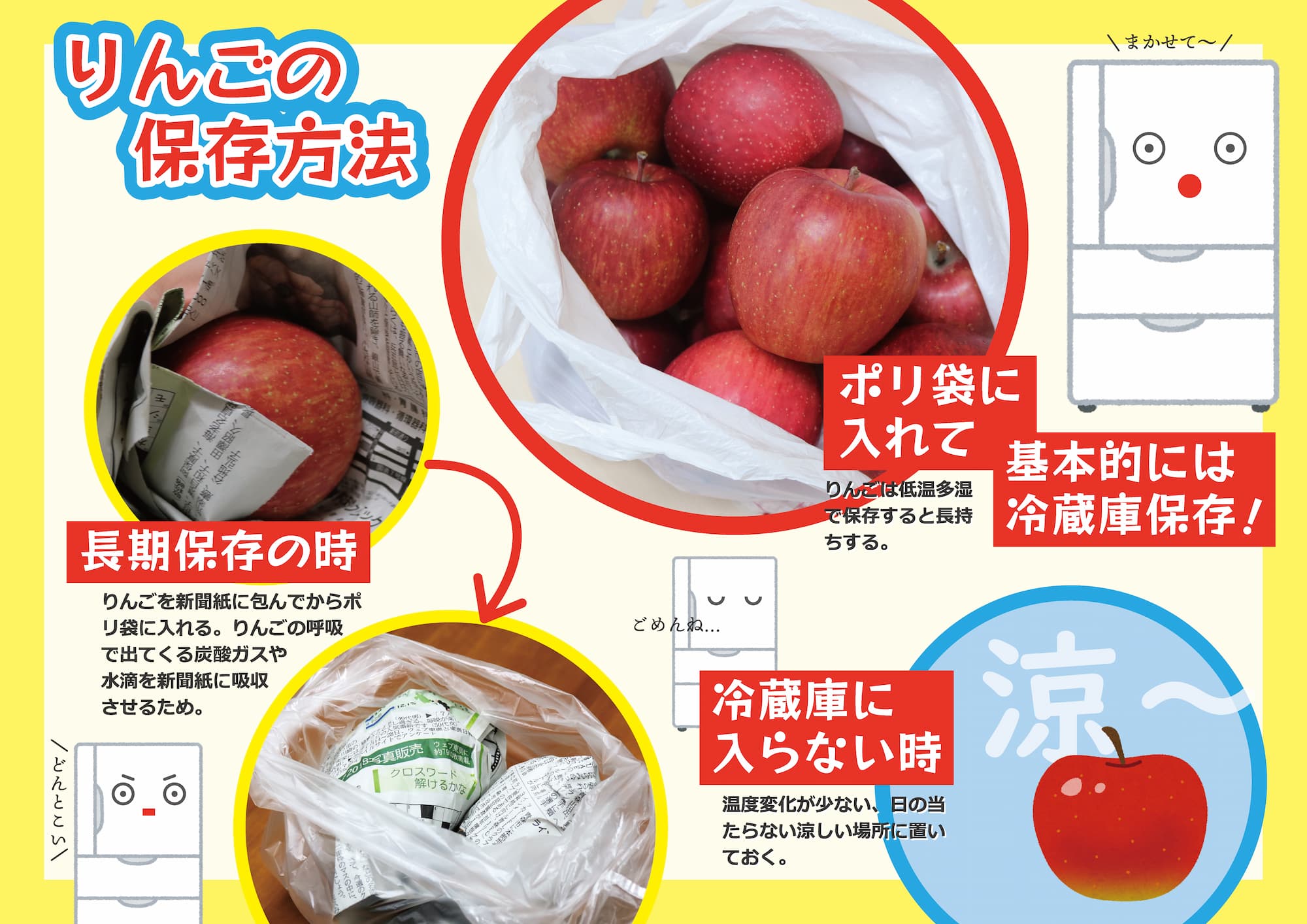 りんご保存の決定版！そのまま冷蔵庫はNg？鮮度を1ヶ月保つ裏技