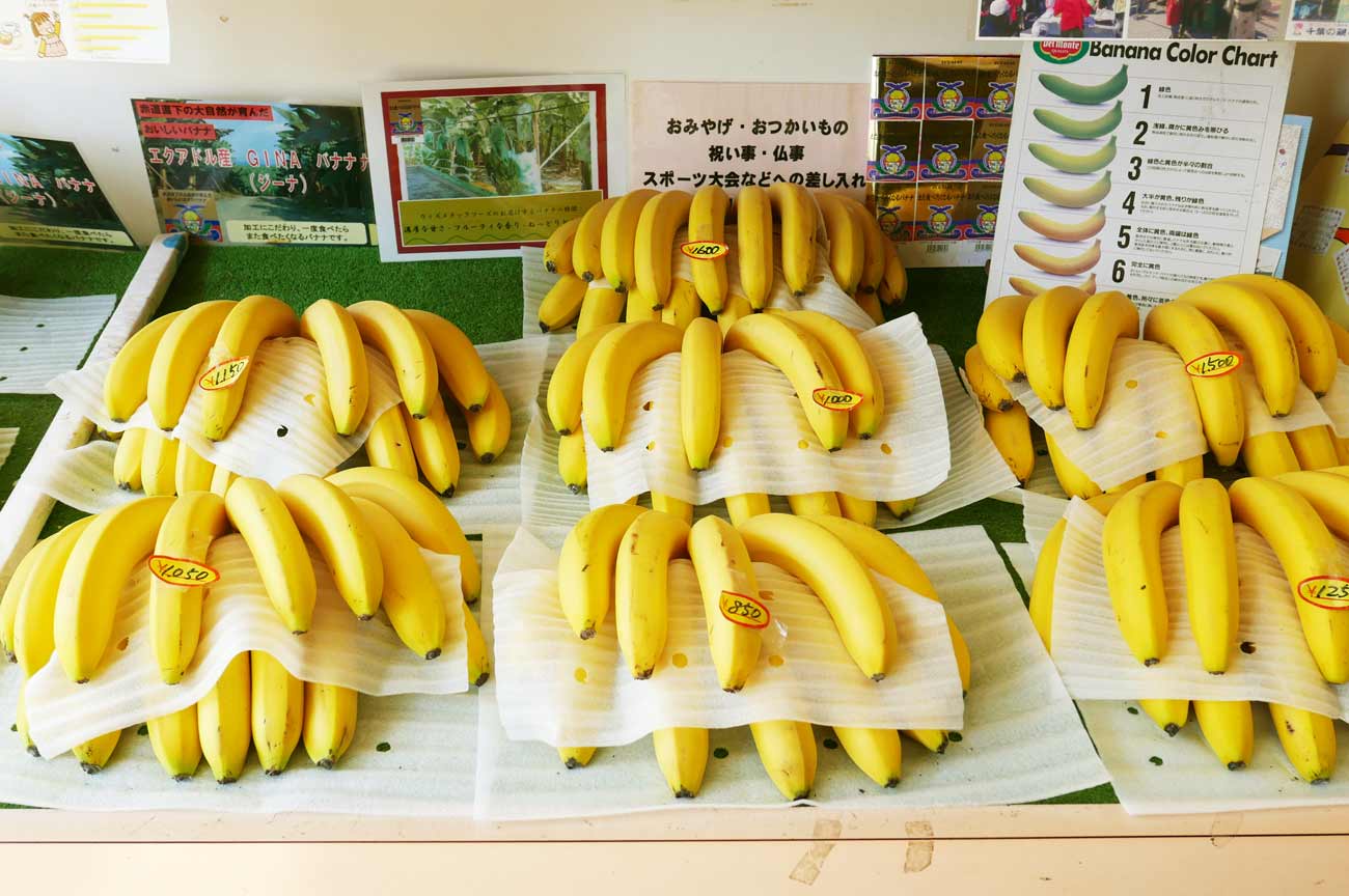話題の館山「佐藤バナナ」とは？熟成の秘密や通販・評判を徹底解説！