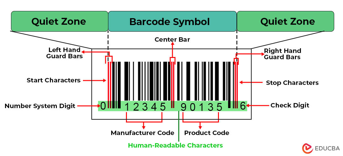 How to Decipher a Barcode