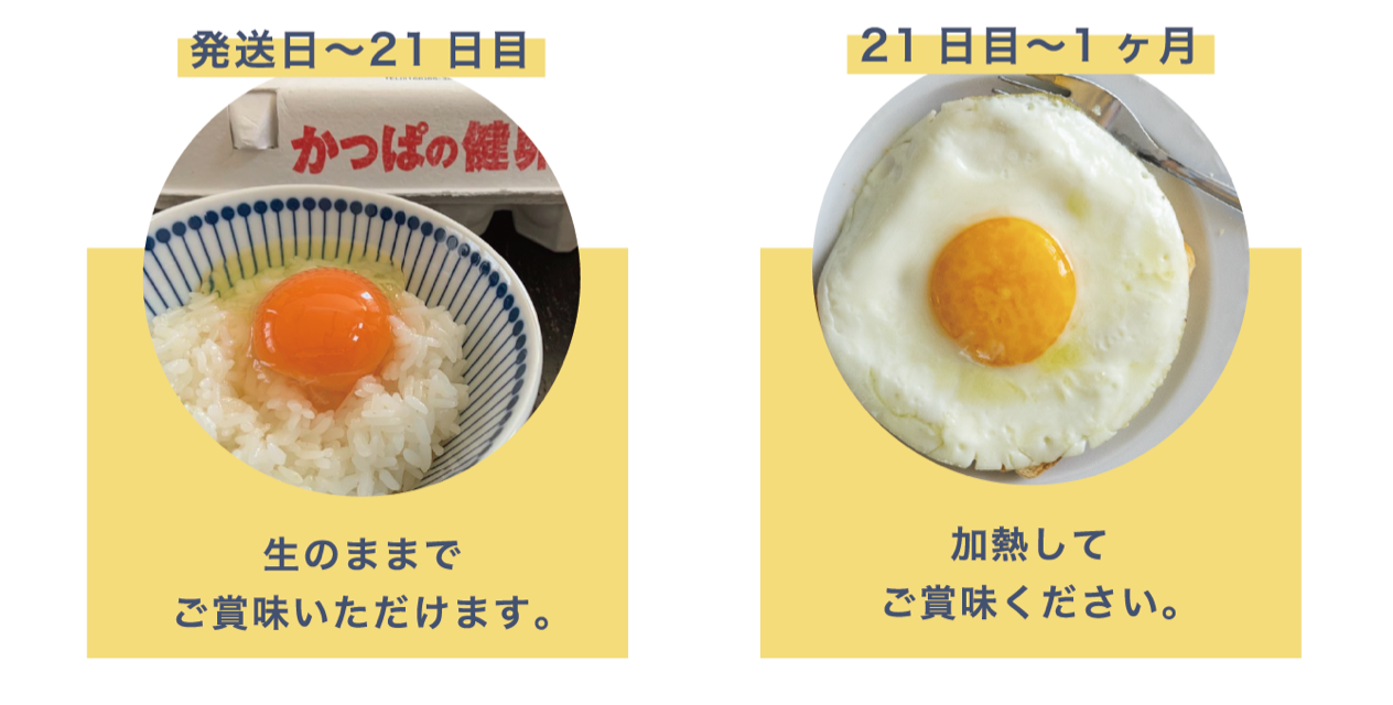 ゆで卵の賞味期限はなぜ生卵より短い？保存日数と傷んだサインの真相