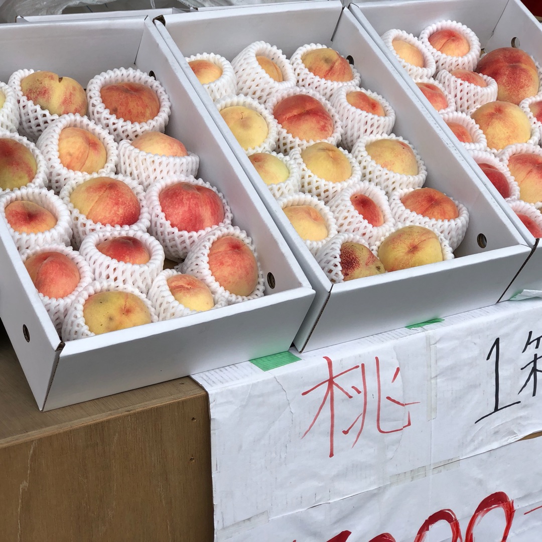 和歌山の桃直売所おすすめ決定版！朝採れ穴場と2026最新混雑攻略