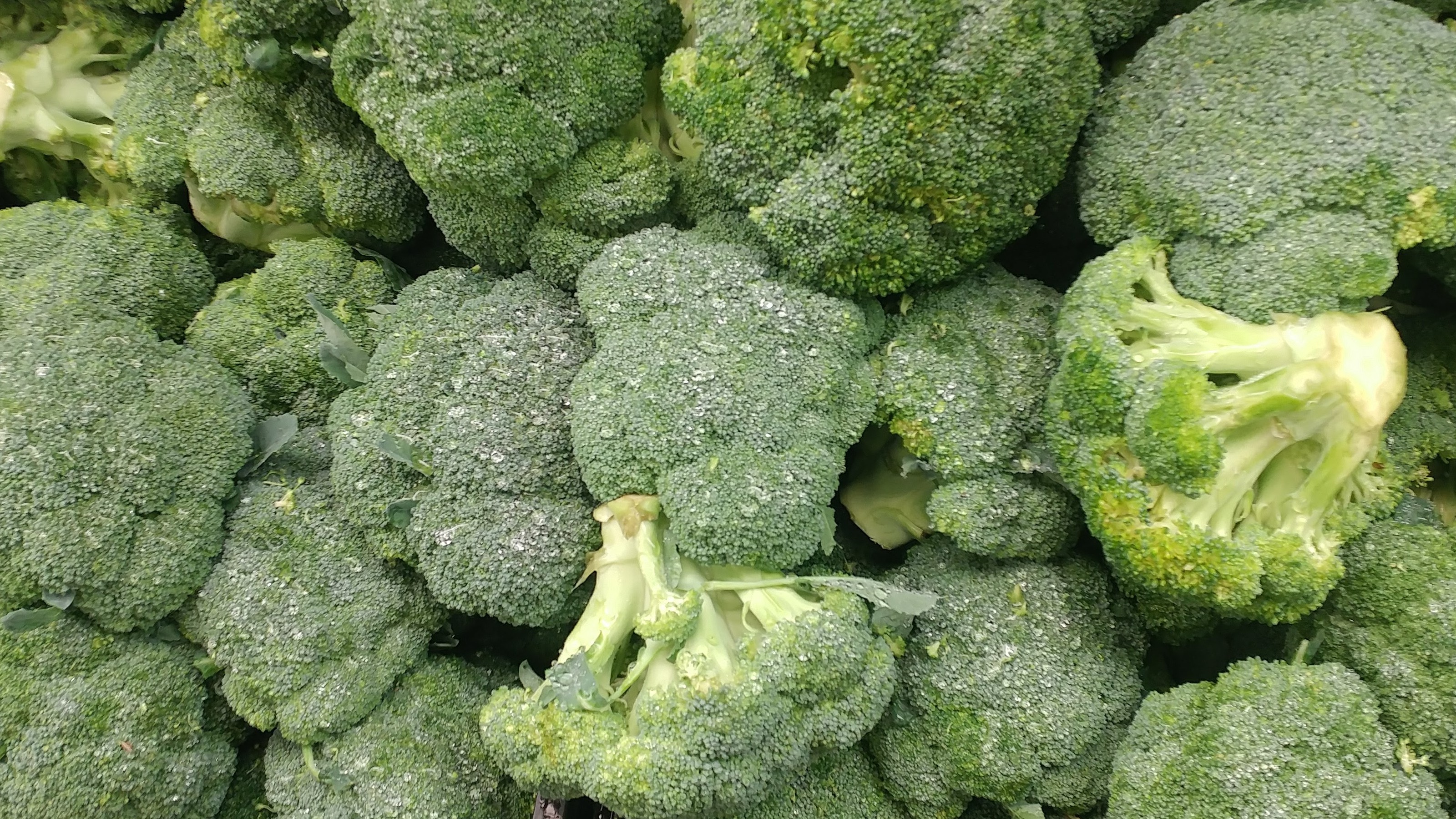 Is Broccoli a Fruit or a Vegetable