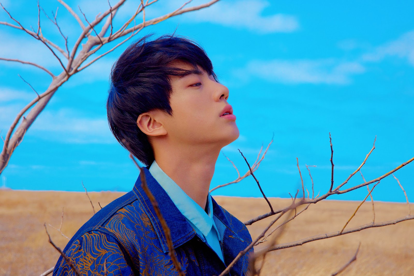 Bts Love Yourself Tear Photoshoot Y Version