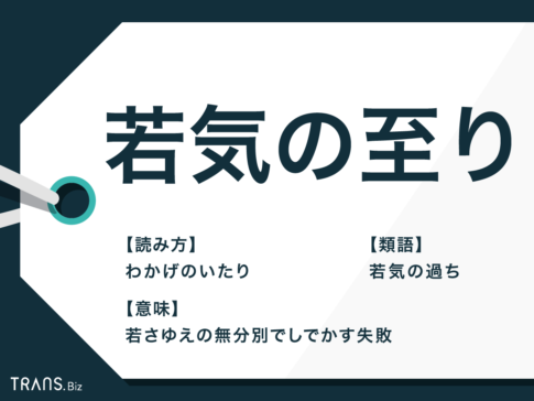 【徹底調査】 若気 の 至り 意味 最新ファイル＆画像まとめ #843