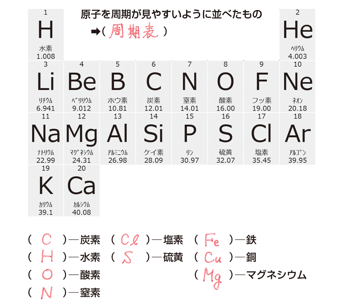 中学二年生の理科「つまずきポイント」総まとめ｜2026年最新の傾向と克服法をプロが解説