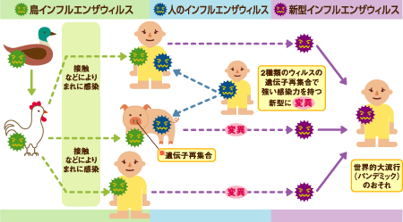 なぜあの人は感染しないのか？「インフルエンザにかからない人」の謎を解く最新免疫科学と2026年の予防新常識