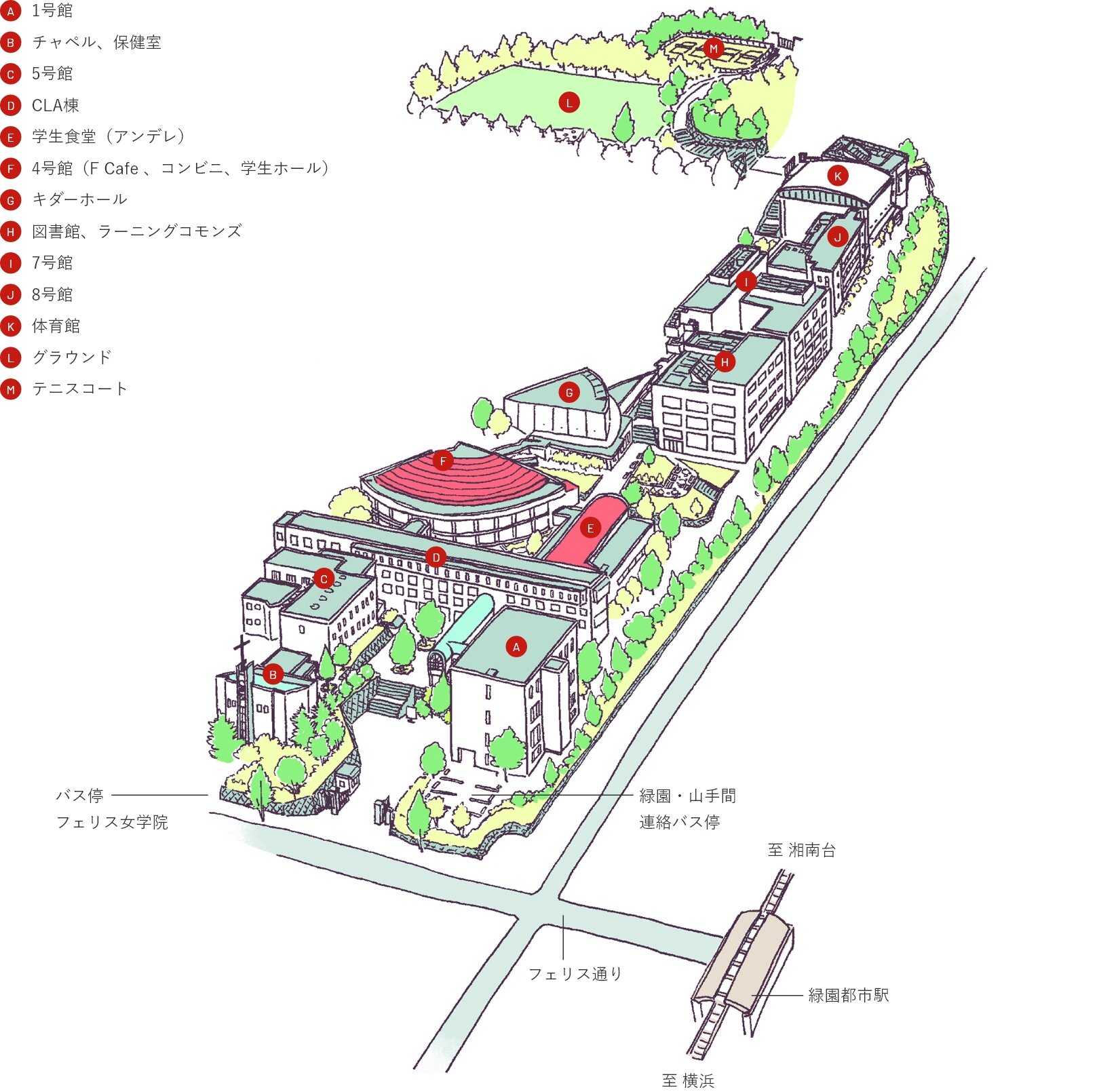 フェリス女学院大の緑園キャンパス徹底解剖｜統合の真相と評判