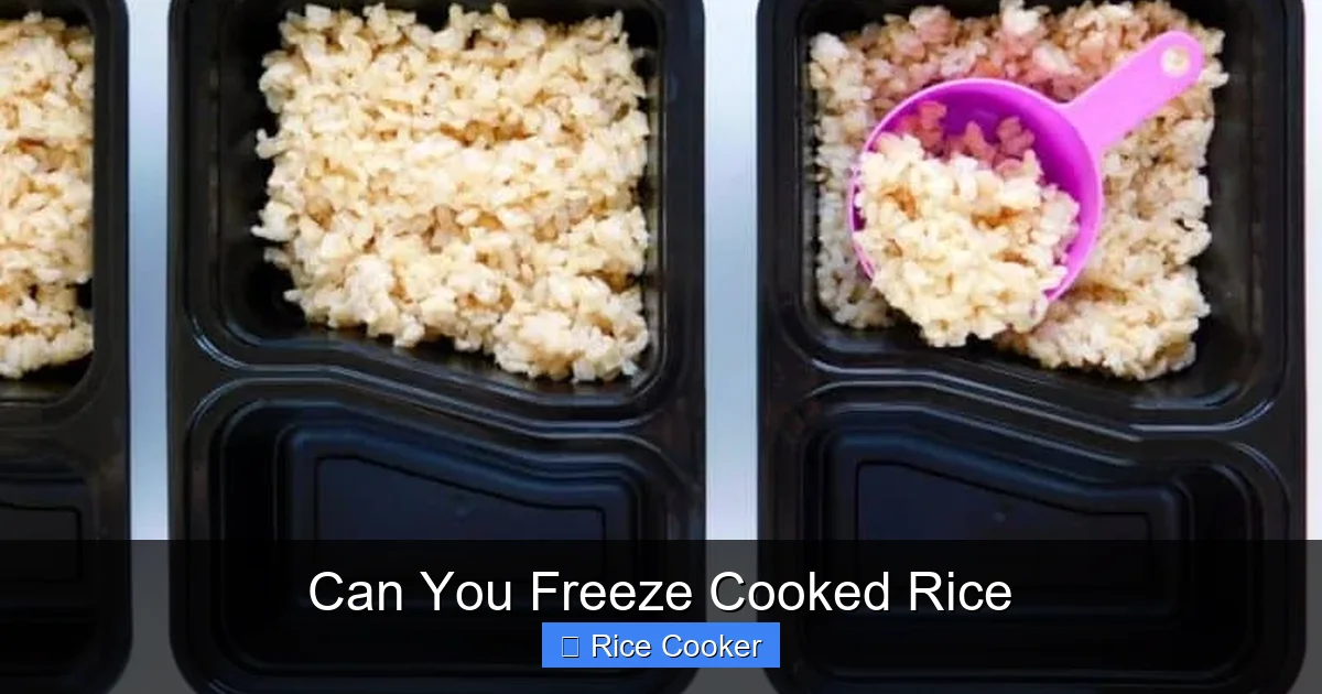 Can U Freeze Cooked Rice