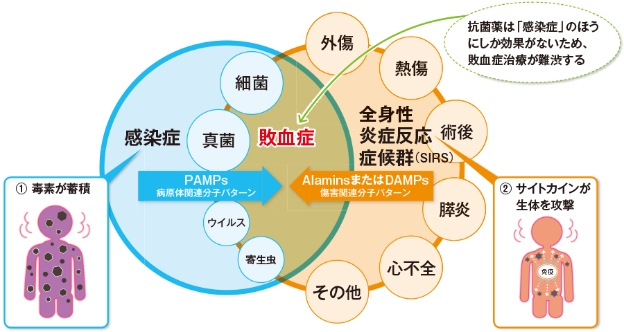 2026年最新医療が警告する「静かなる殺人者」——「敗血症」の恐怖と生存を分ける初期サイン