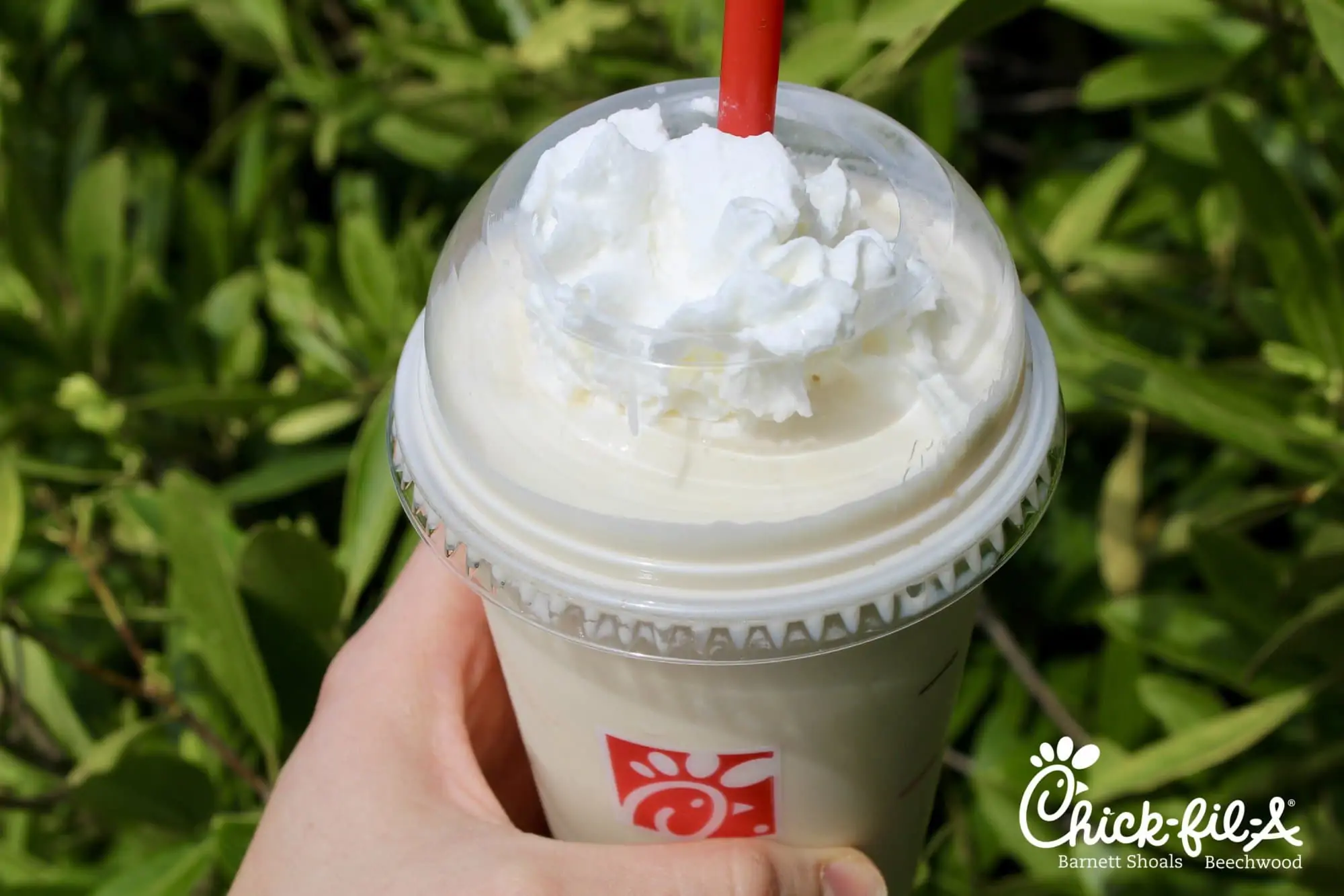 Chick Fil a Arnold Palmer
