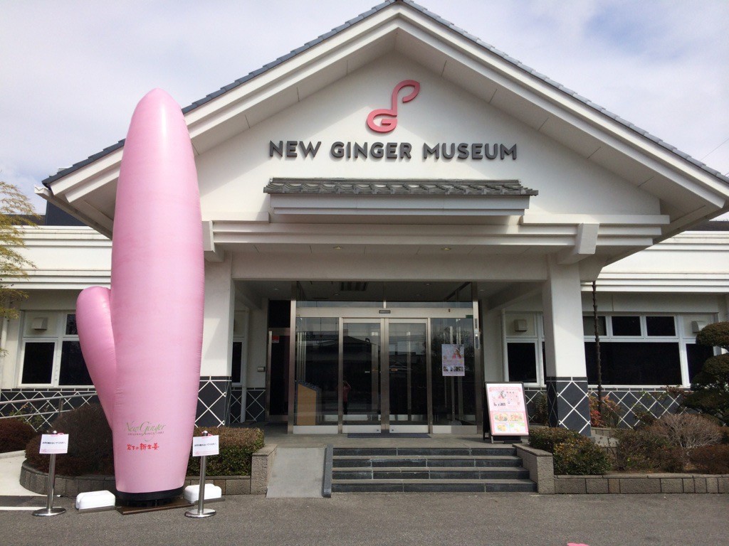 岩下の新生姜ペンライト回収の真相！販売中止の理由と再販・現在を追う