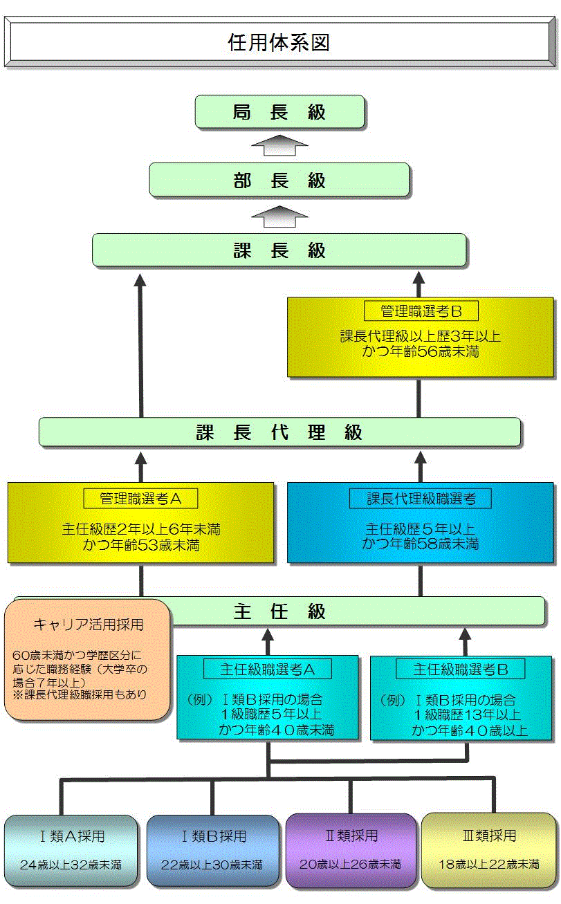 都庁エリートコースの真相！出世を左右する花形部署と昇任試験の現実