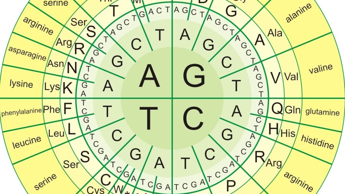 Cracking the Code of Life Video Questions Answer Key