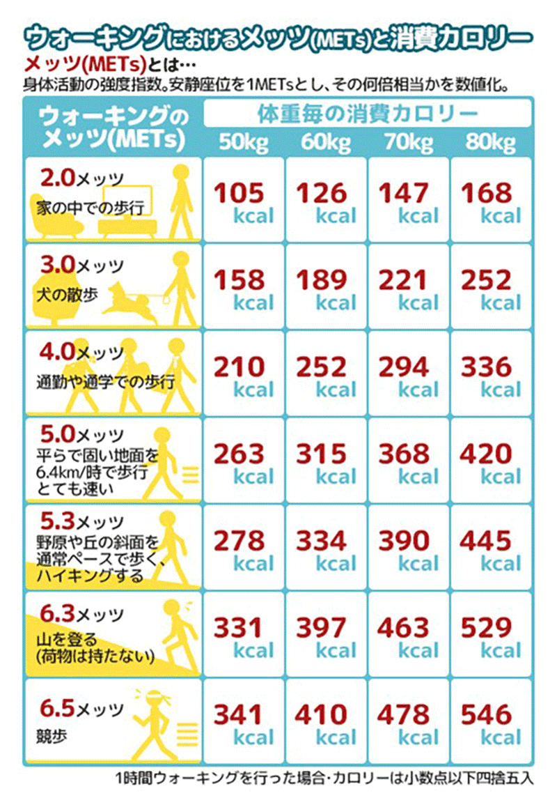 2万歩の消費カロリーは？体重別の数値差と痩せる真相を徹底検証