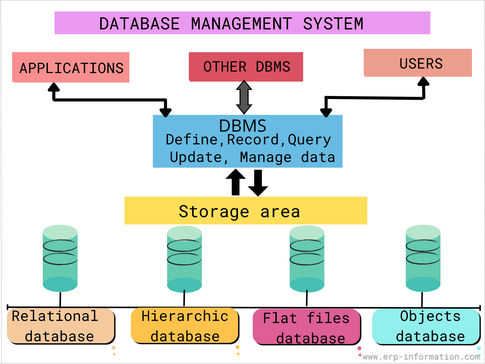 What Is the Database Management System