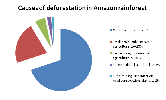 Reasons for Deforestation in the Amazon Rainforest