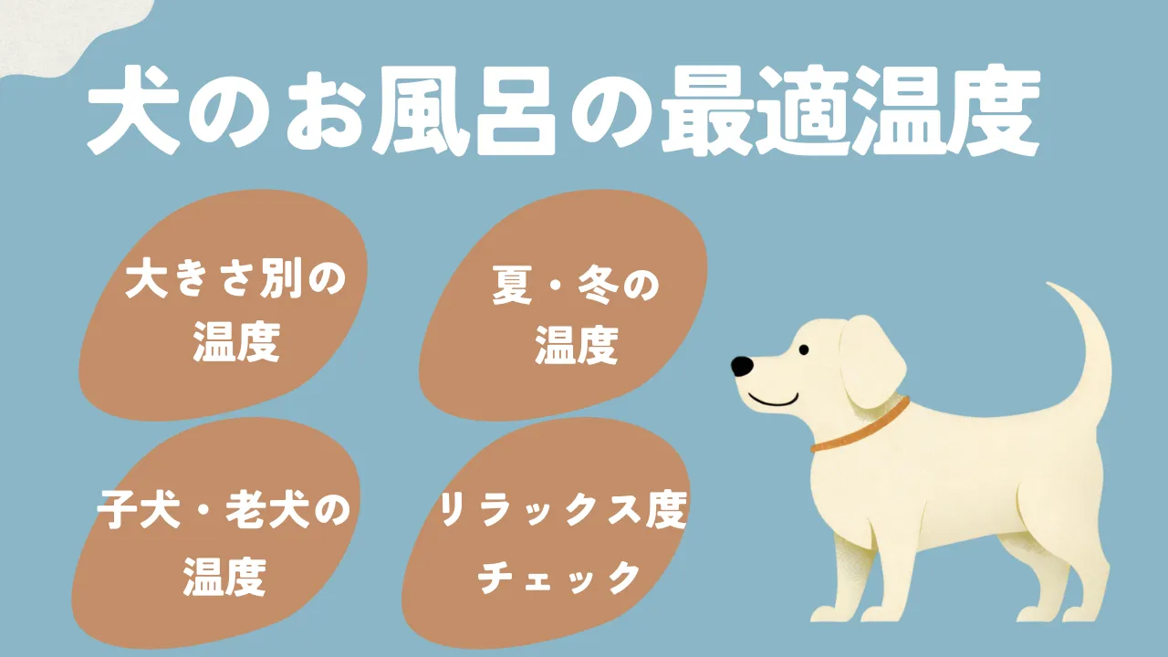 犬のお風呂温度に潜む罠！40度超が危険な理由と獣医師推奨の適温