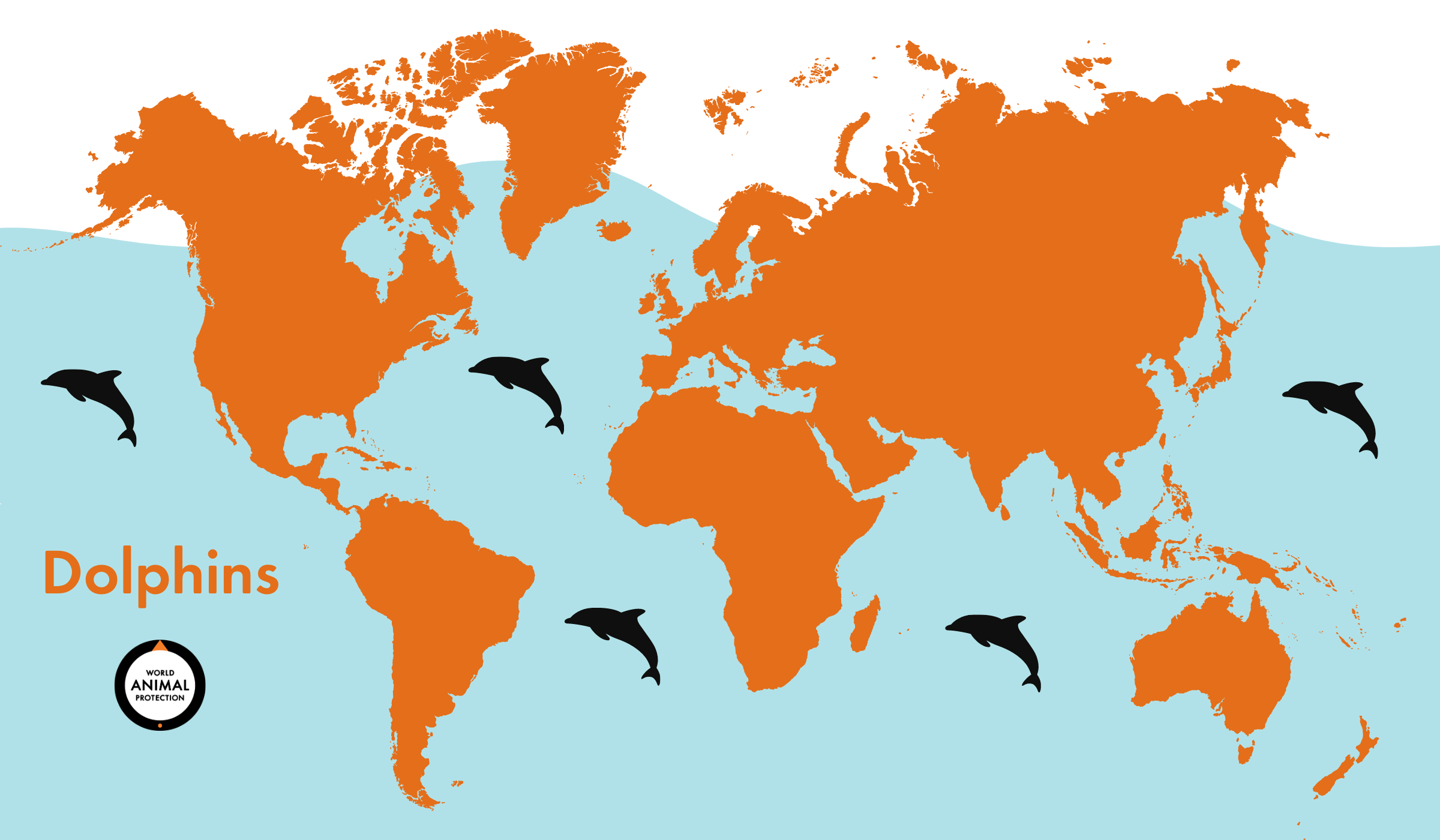 Where Do Dolphins Live