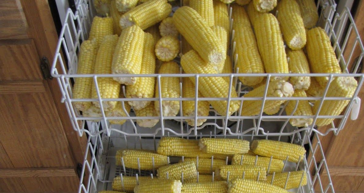 How to Store Shucked Corn