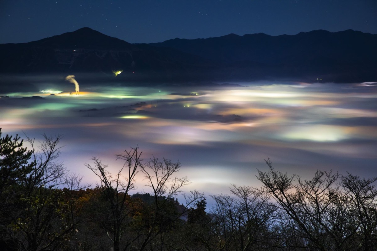 美の山公園で雲海に出会う確率と見頃！夜景・星空完全攻略2026