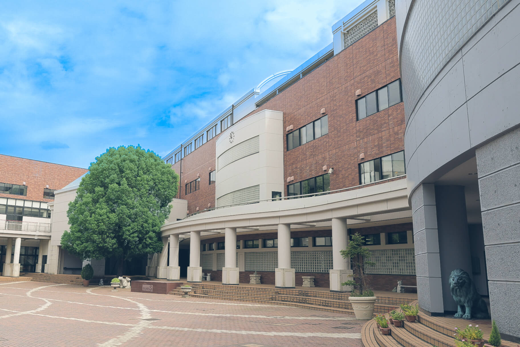 西武文理高校の評判と偏差値の真相！医学部進学実績と確約基準に迫る