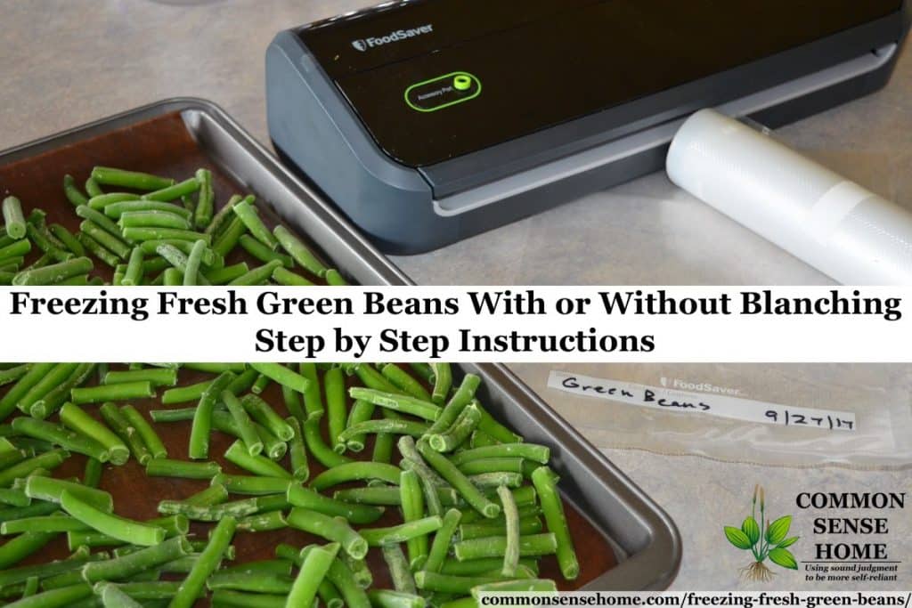 Freezing Beans Without Blanching