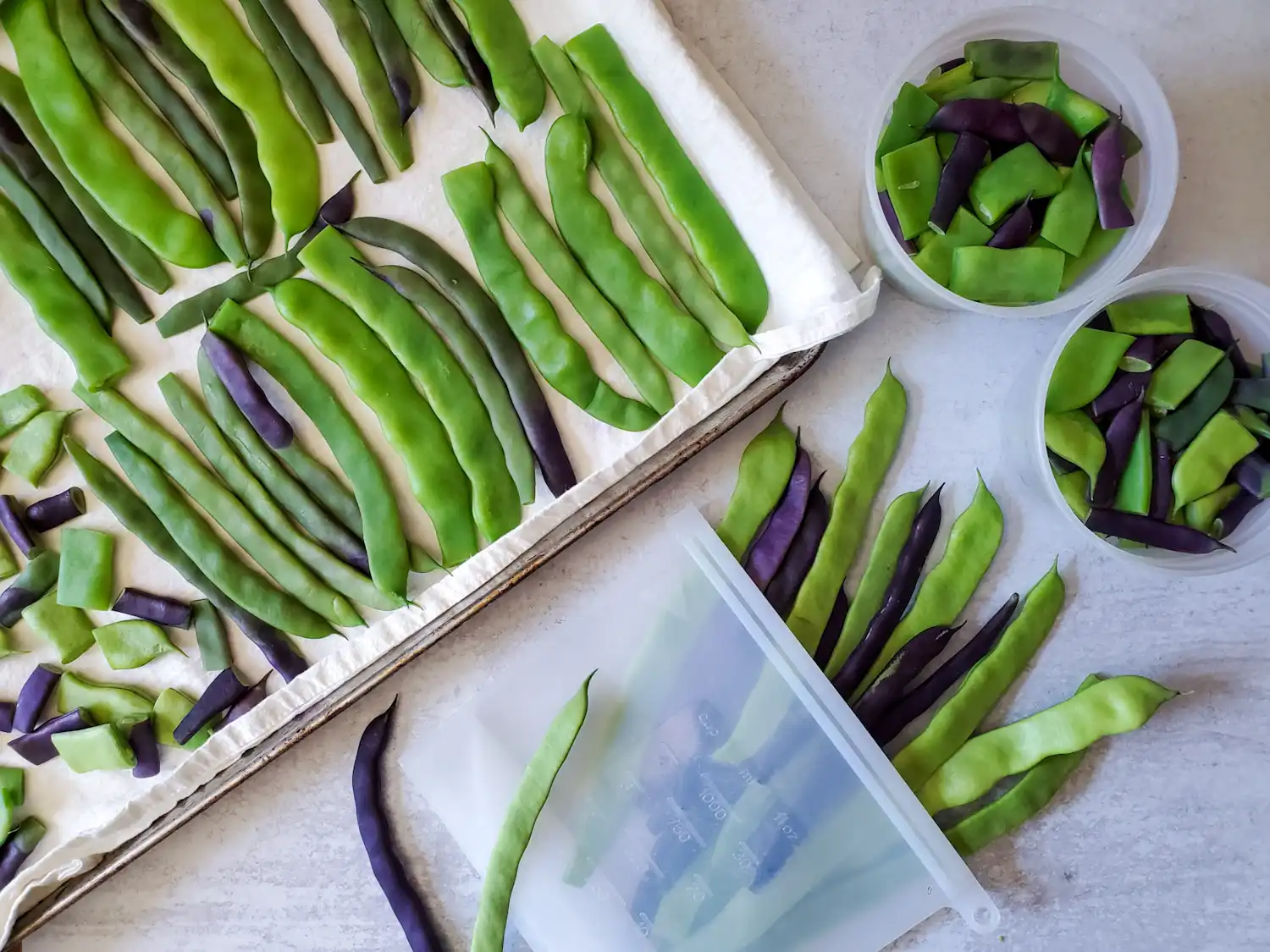 Freezing Green Beans Raw