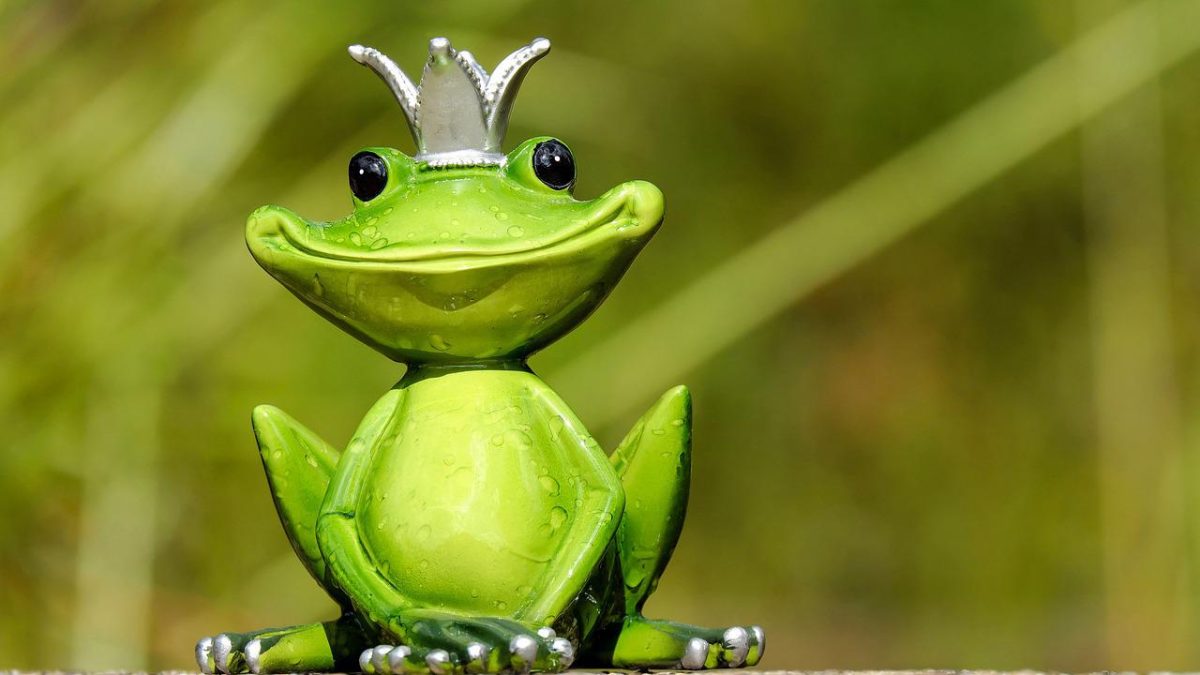 カエル英語の決定版！FrogとToadの違いや鳴き声・ことわざ解説