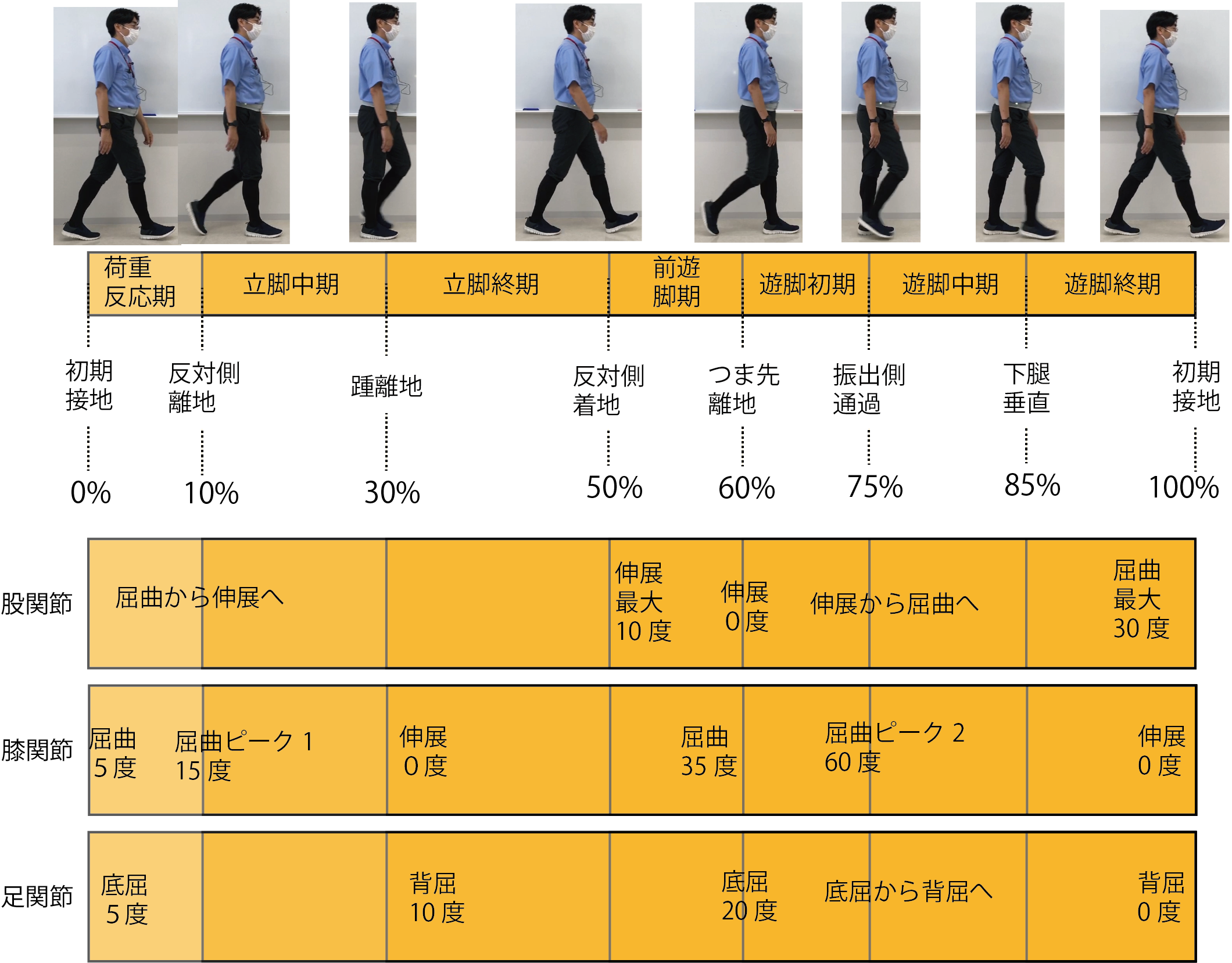 歩行器の種類と失敗しない選び方｜室内・屋外用や介護保険の基準