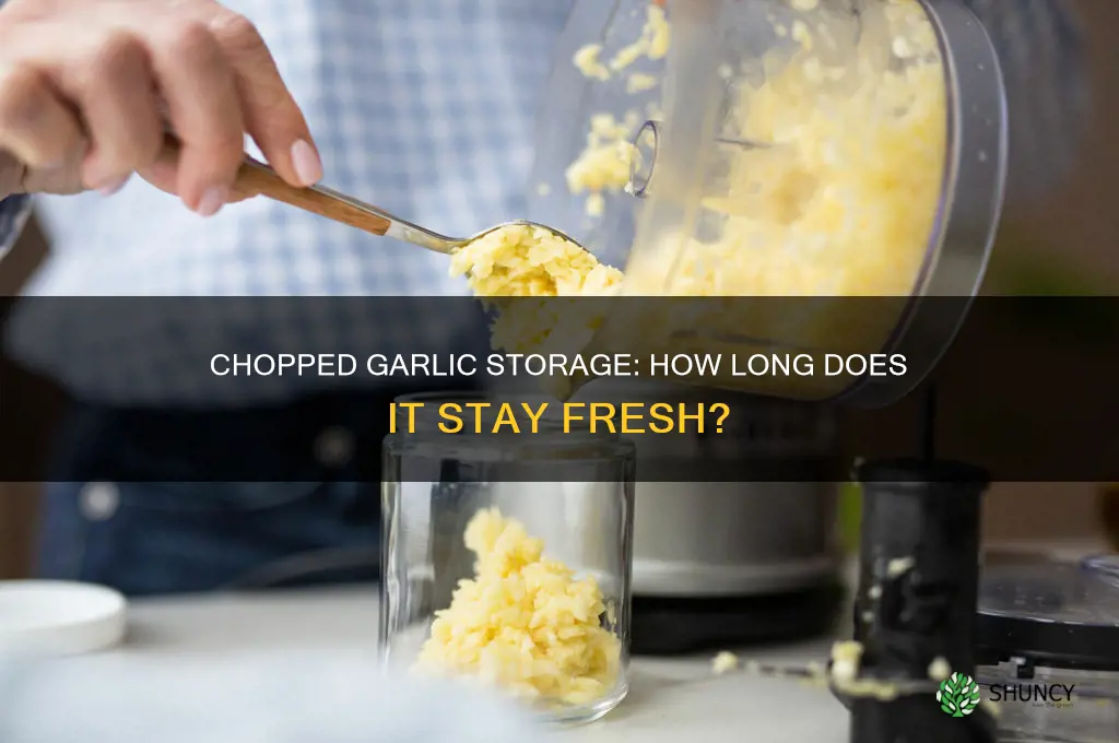 How Long Does Chopped Garlic Last in the Fridge