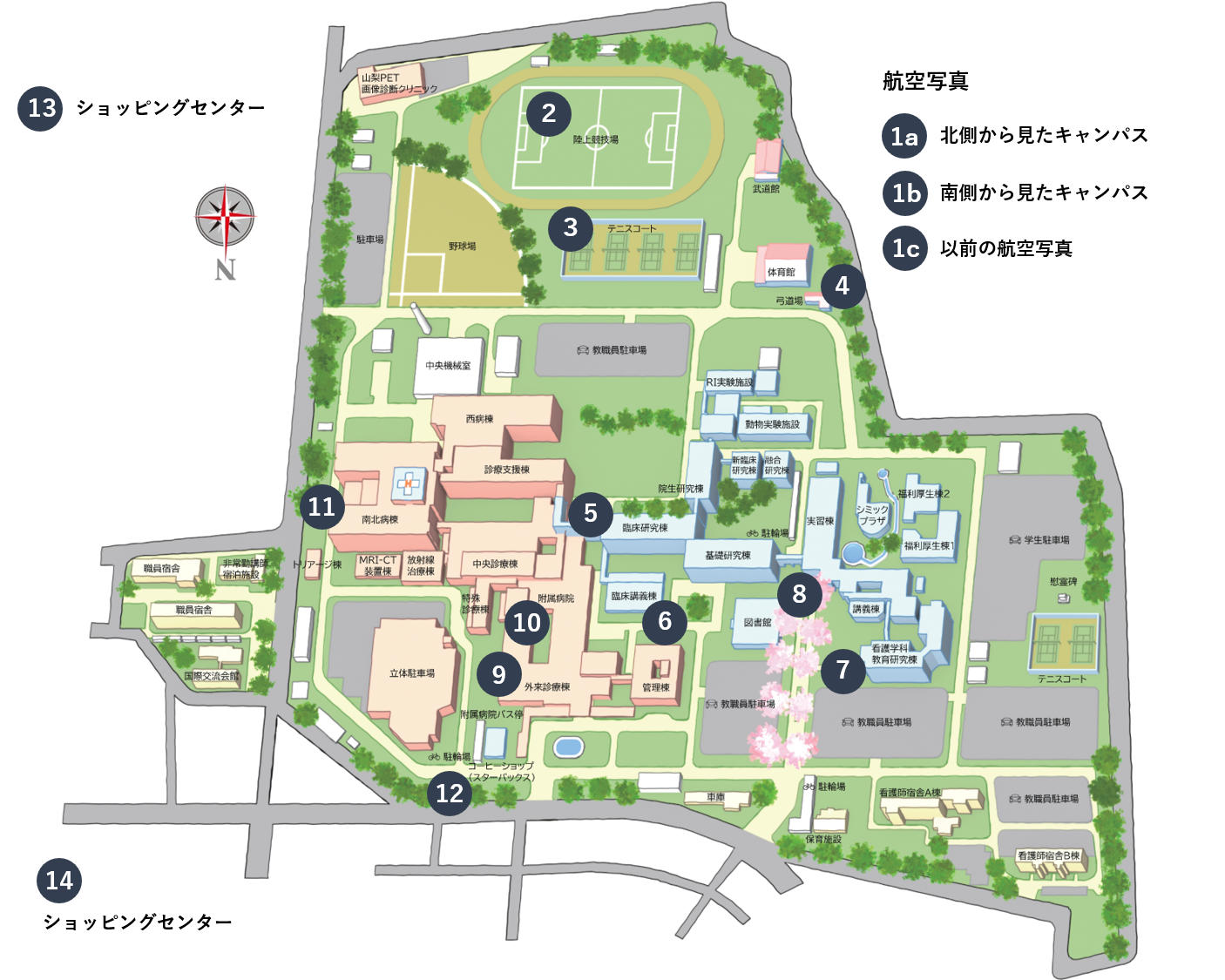 山梨大学医学部の最新情報2026！後期日程の難易度と進級噂の真相