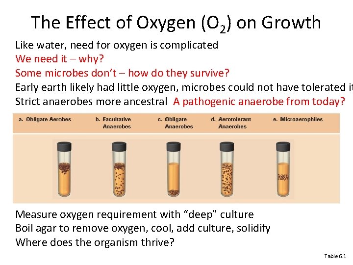 Describe the Procedure for Smelling a Chemical