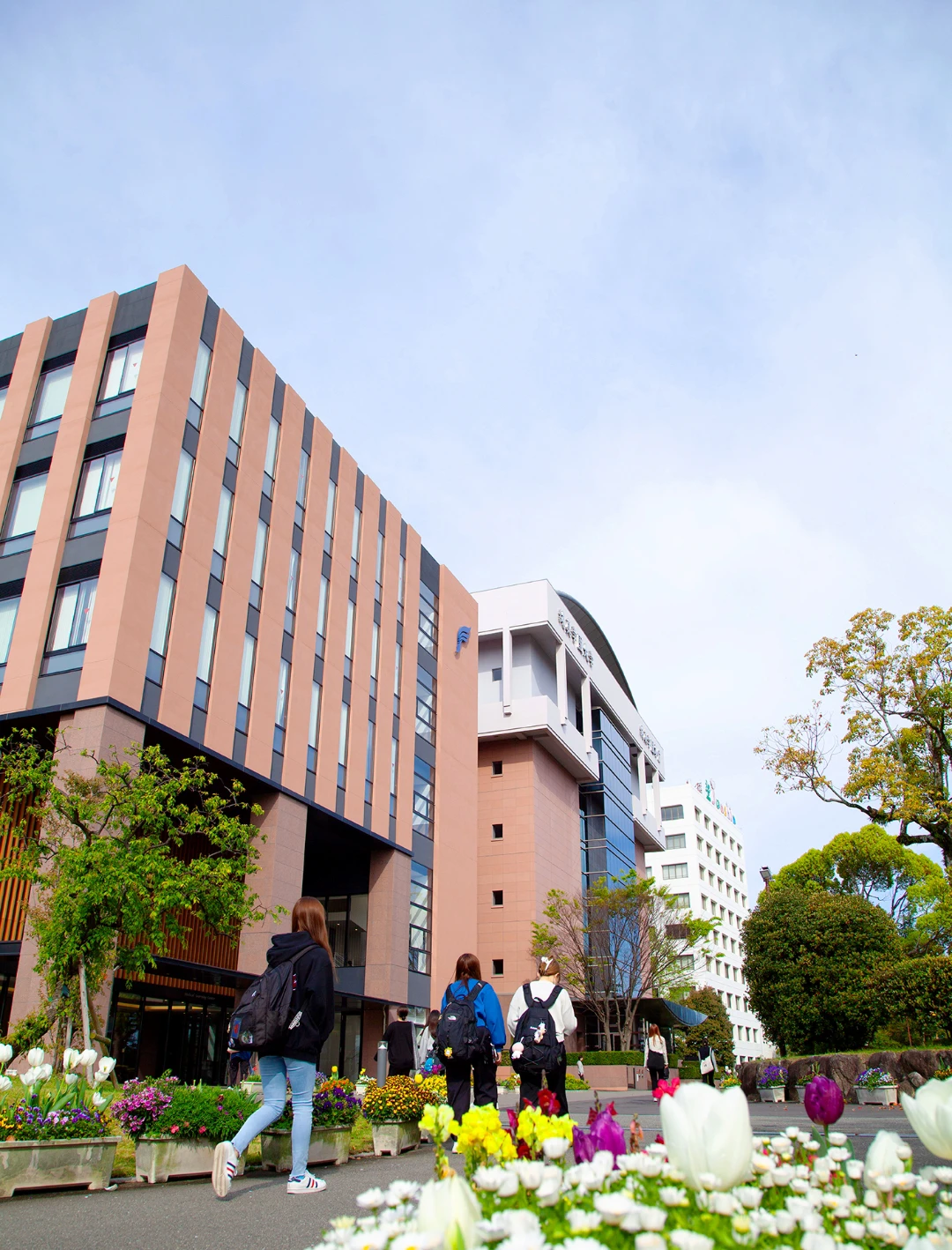 純真学園大学のリアルな評判は？医療4学科の偏差値と国試合格率の真相を徹底解説
