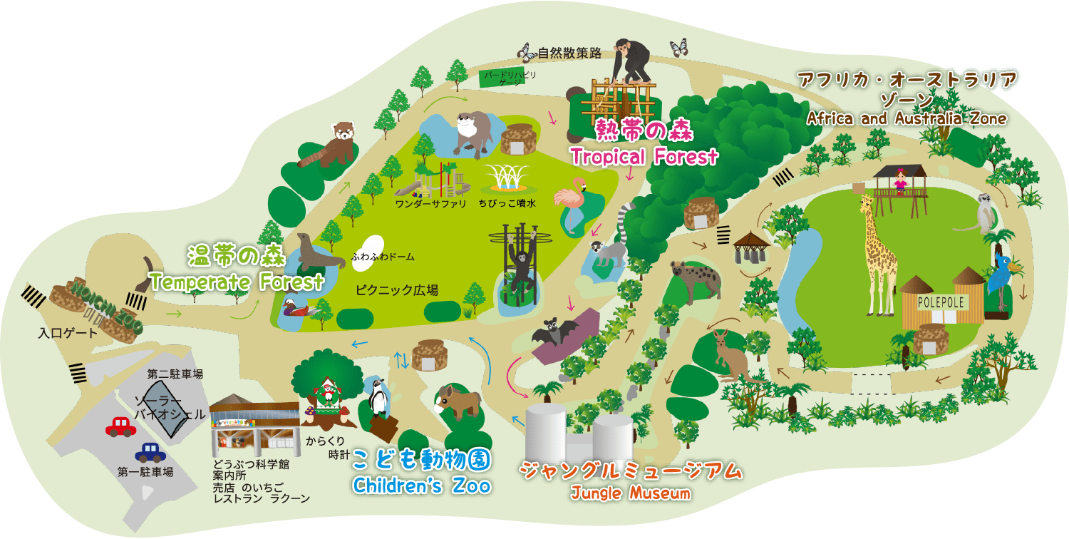 日本一選ばれた絶景動物園！ハシビロコウと出会う高知の生態展示