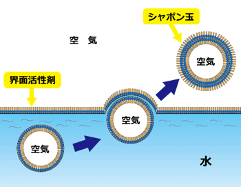 「牛乳石鹸の成分は危険」というネットの噂は本当か？成分解析と2026年最新の皮膚科医の見解
