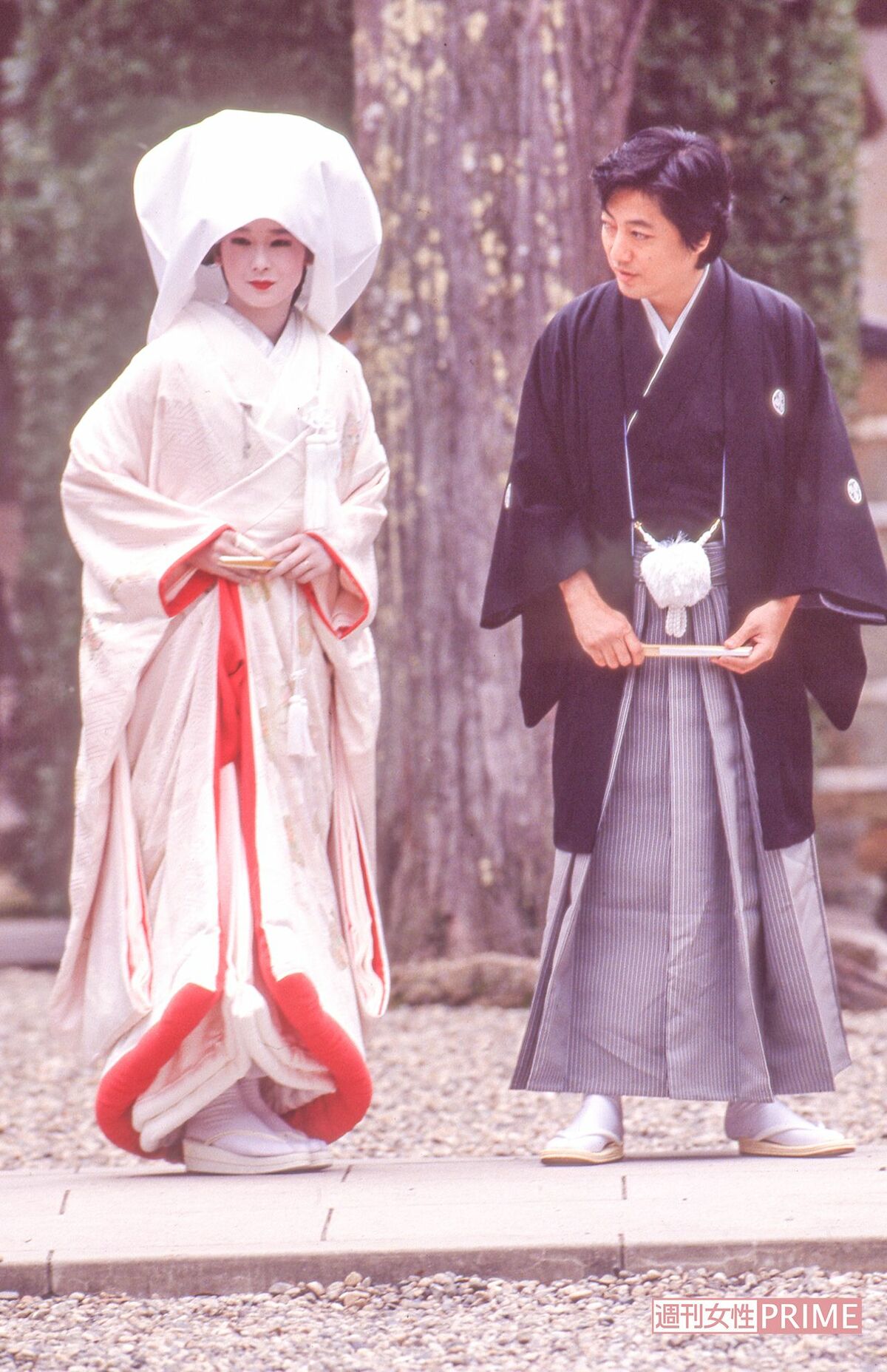 田中裕子と沢田研二の今｜略奪婚・18億円慰謝料の真相を徹底解説