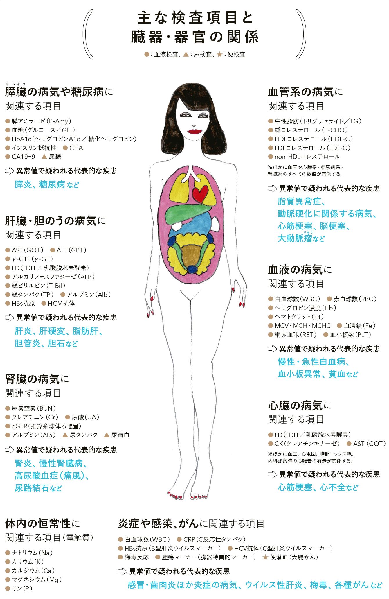 健診でNon-Hdl低値の女性に異変？低すぎる脂質に潜む重大リスク