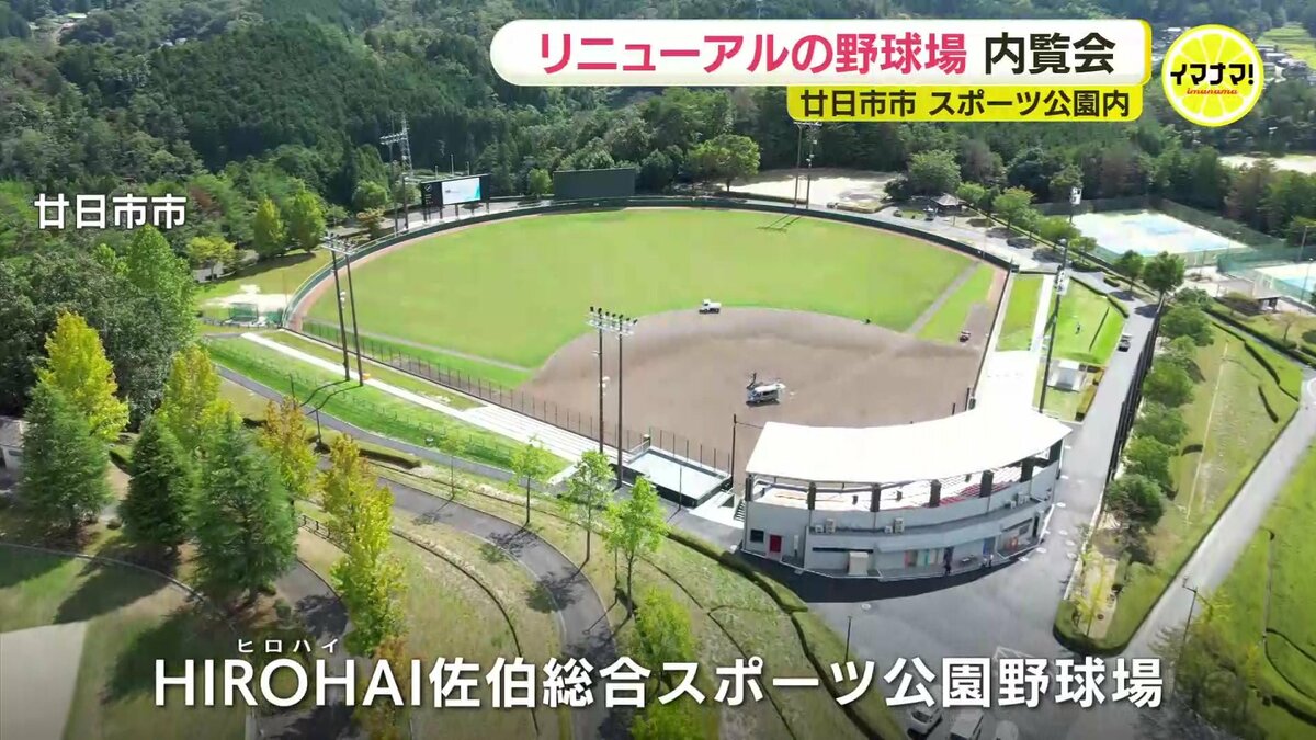 佐伯総合スポーツ公園野球場の予約・料金と設備真相【2026最新】