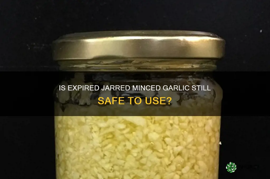 Does Minced Garlic Expire