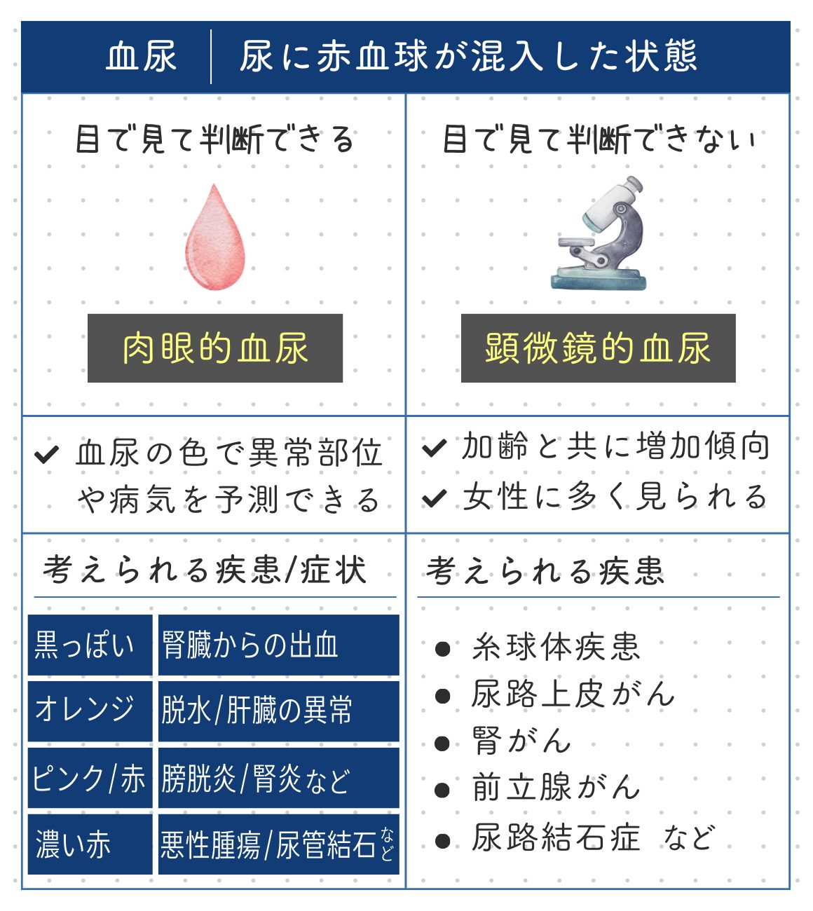 女性の血尿は何のサイン？痛みの有無や原因・受診科を徹底解説