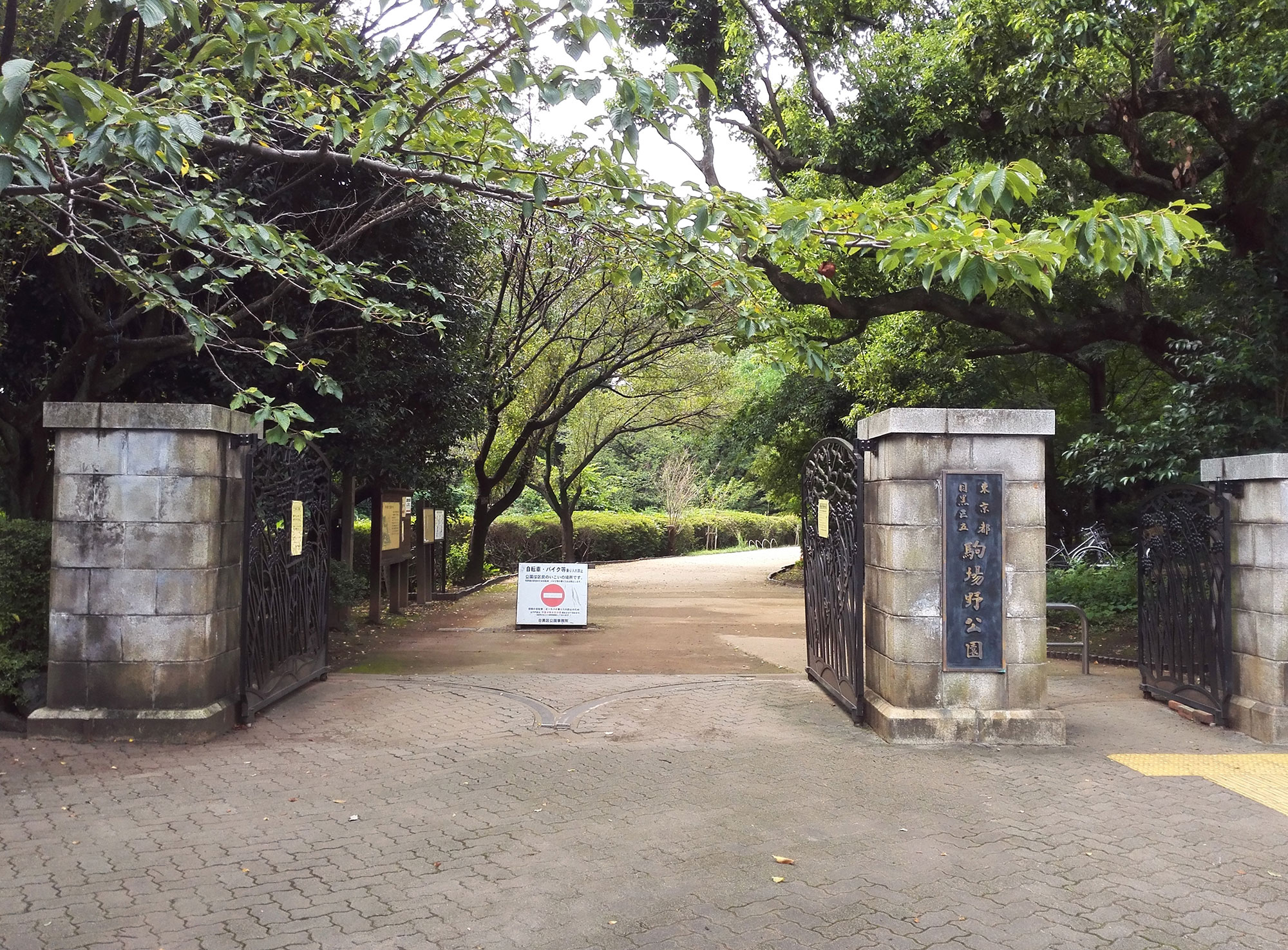 渋谷の目と鼻の先に眠る「都会のオアシス」——2026年、文化と緑が交差する駒場公園の深い魅力
