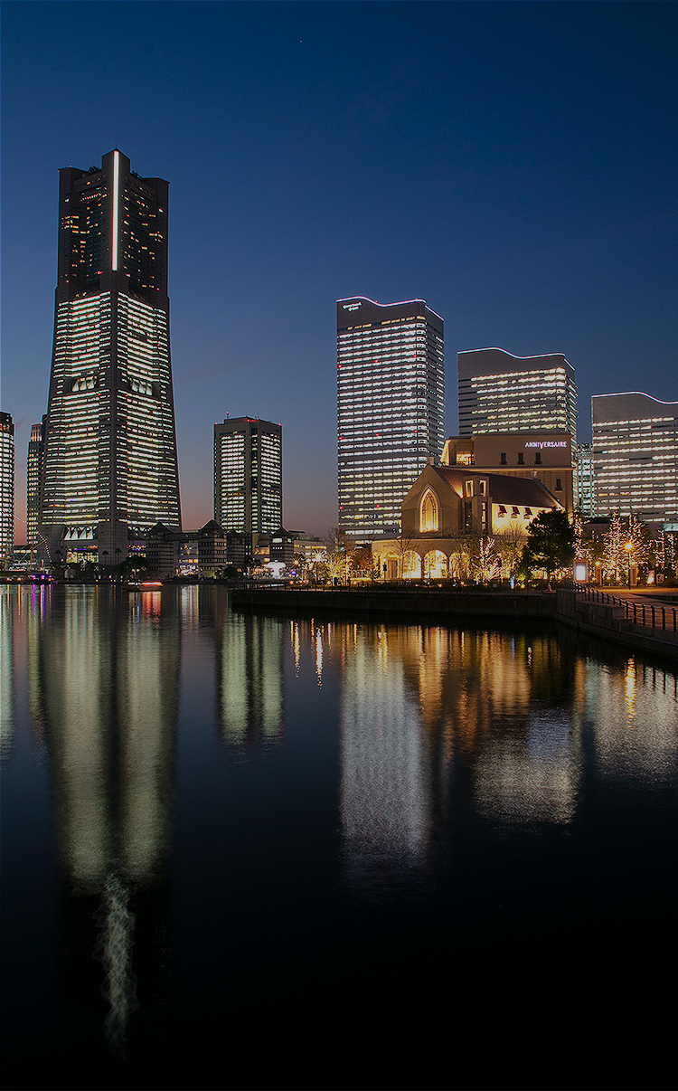 鉄板焼すみだの評判と口コミを徹底検証！予算・夜景・記念日利用の全容