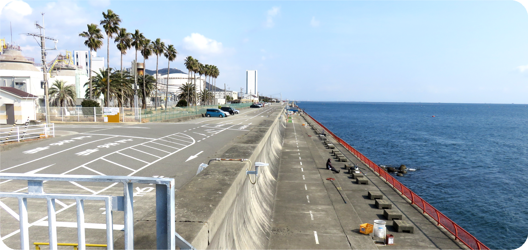 平磯海づり公園の釣果・混雑と料金攻略！手ぶら大物狙いの全貌