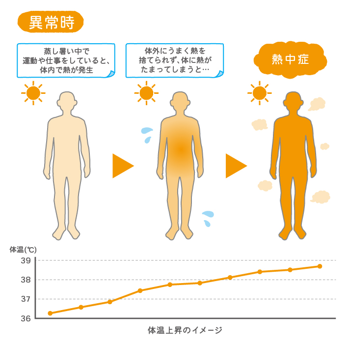 平熱なのに熱がこもる原因とは？自律神経の乱れと即効対処法を徹底解明